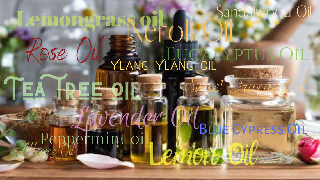 Wellness in Doses