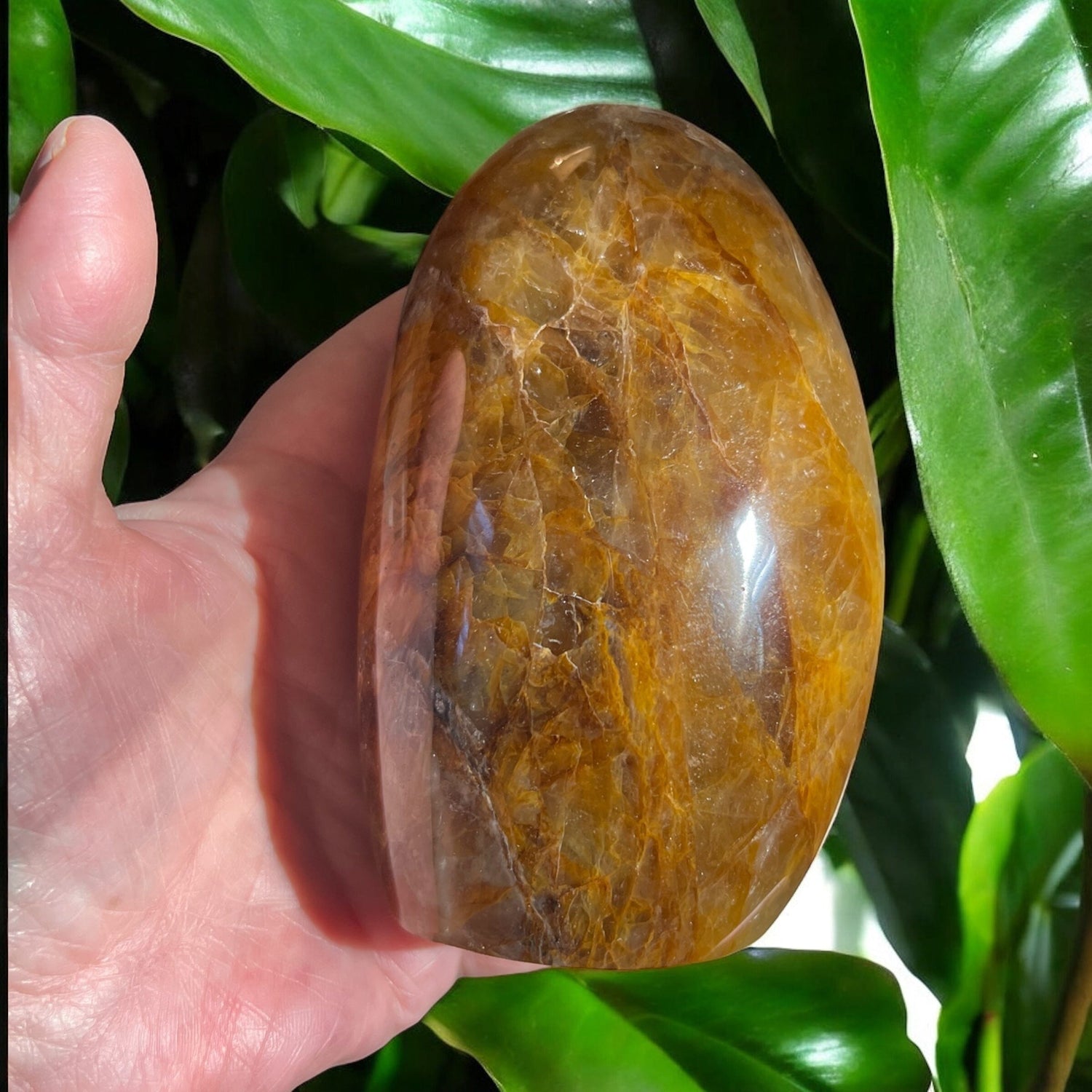 Golden Healer Free Form Crystals AJABA NATURALS®