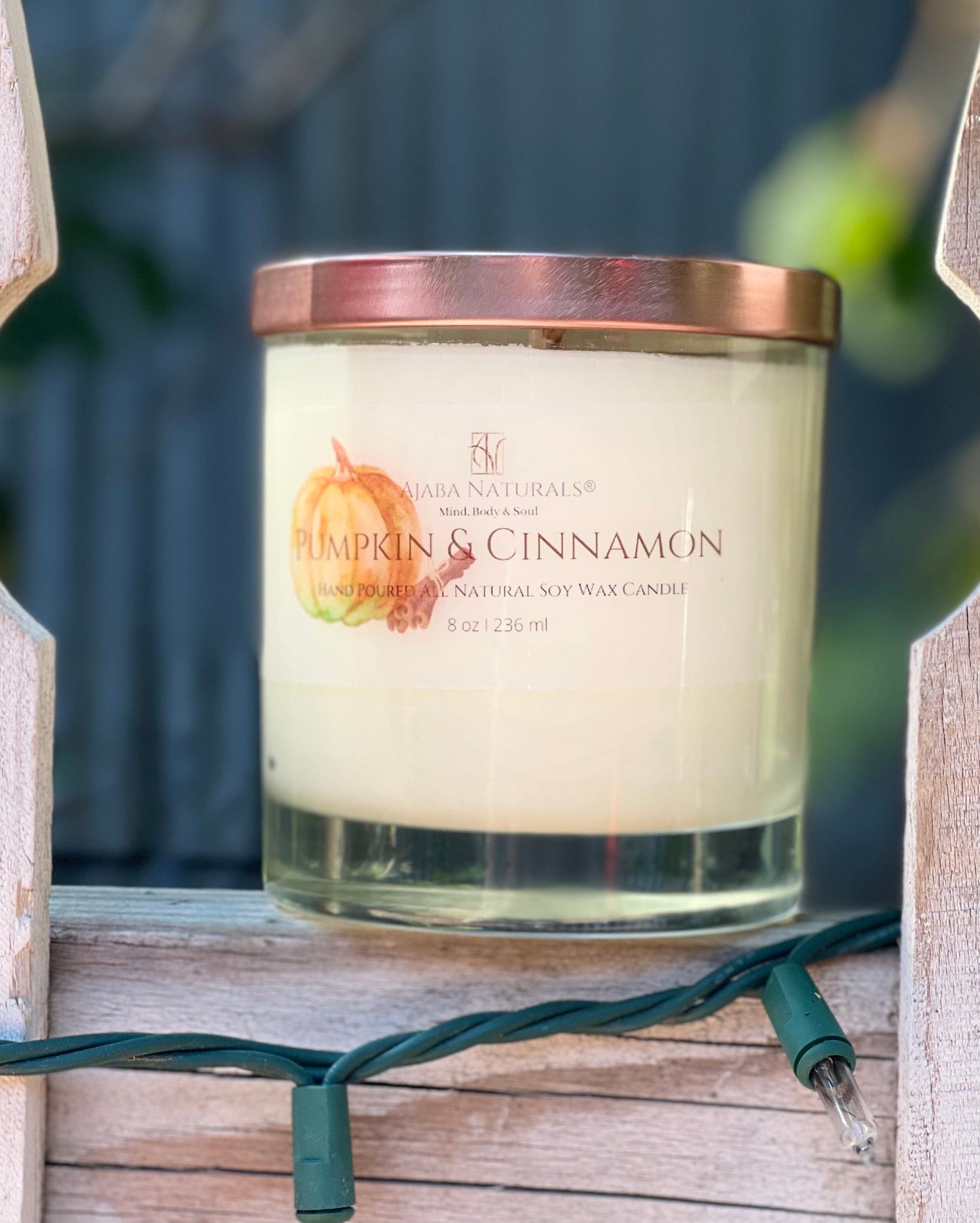 Pumpkin & Cinnamon All Natural Soy Wax Candle Candle AJABA NATURALS®