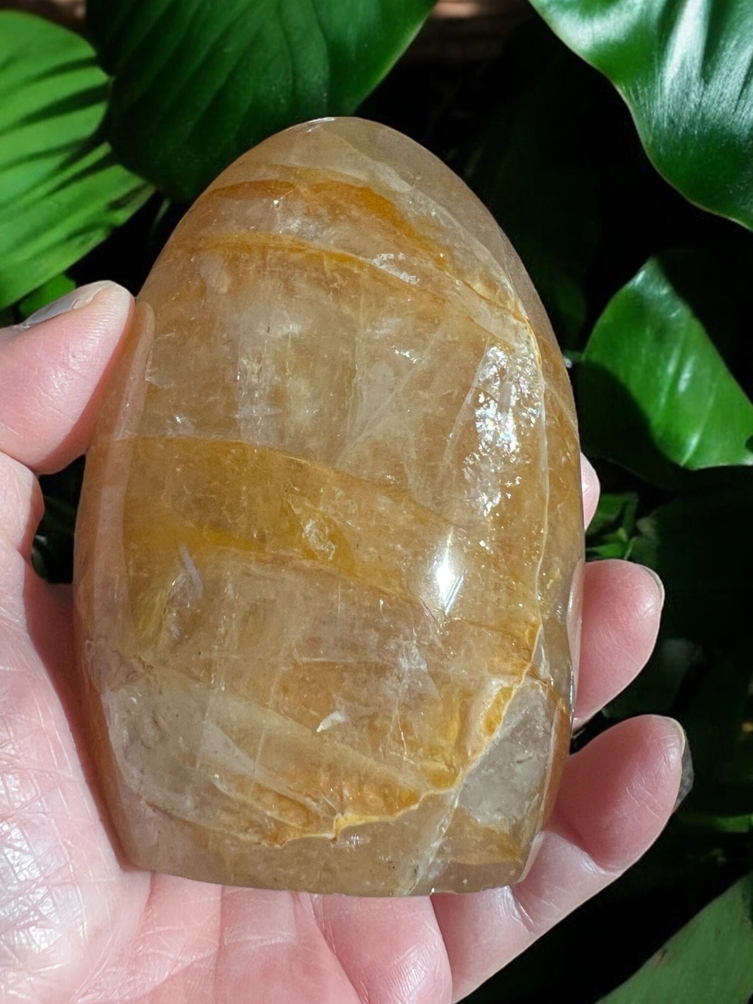 Golden Healer Free Form Crystals AJABA NATURALS®