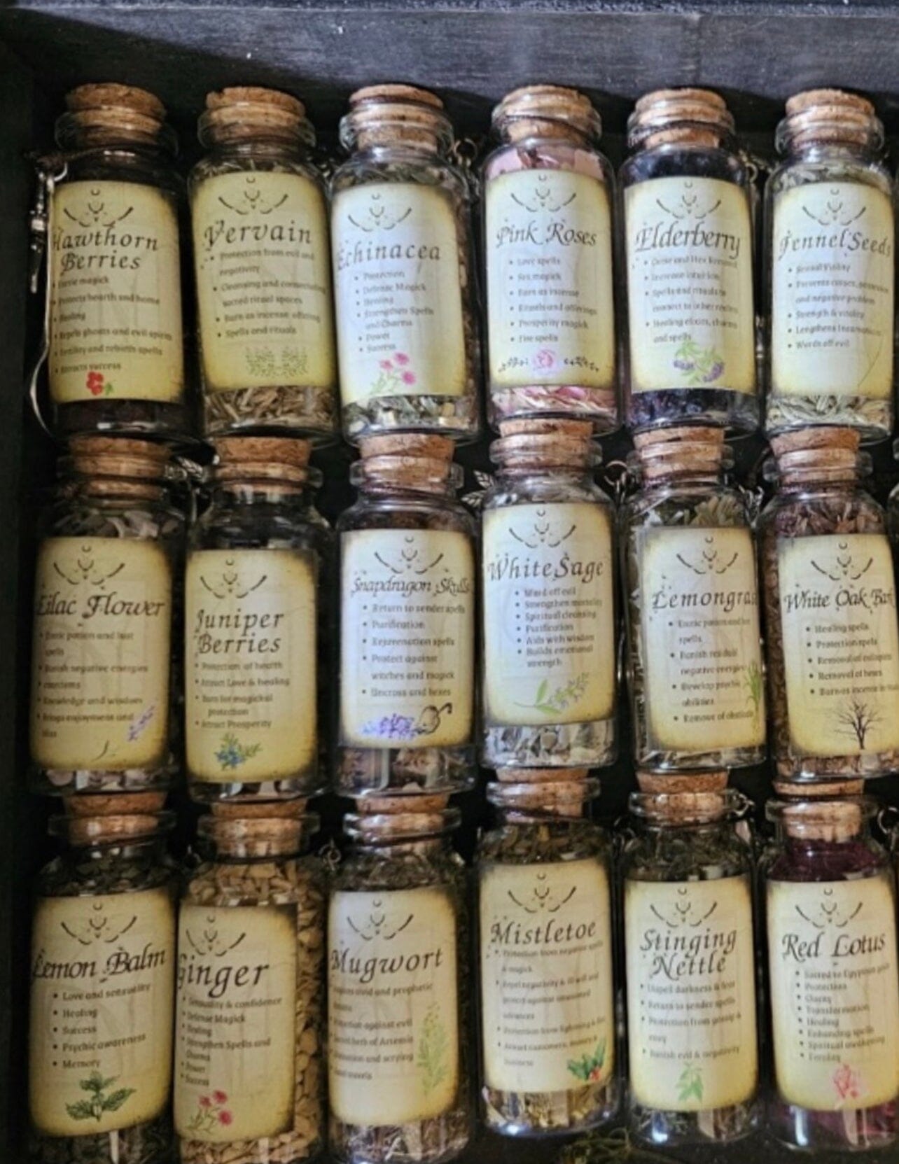 Botanical filled Bottle with Enchanted Garden Faerie Spoon Botanical Herb Bottles for Spells AJABA NATURALS®