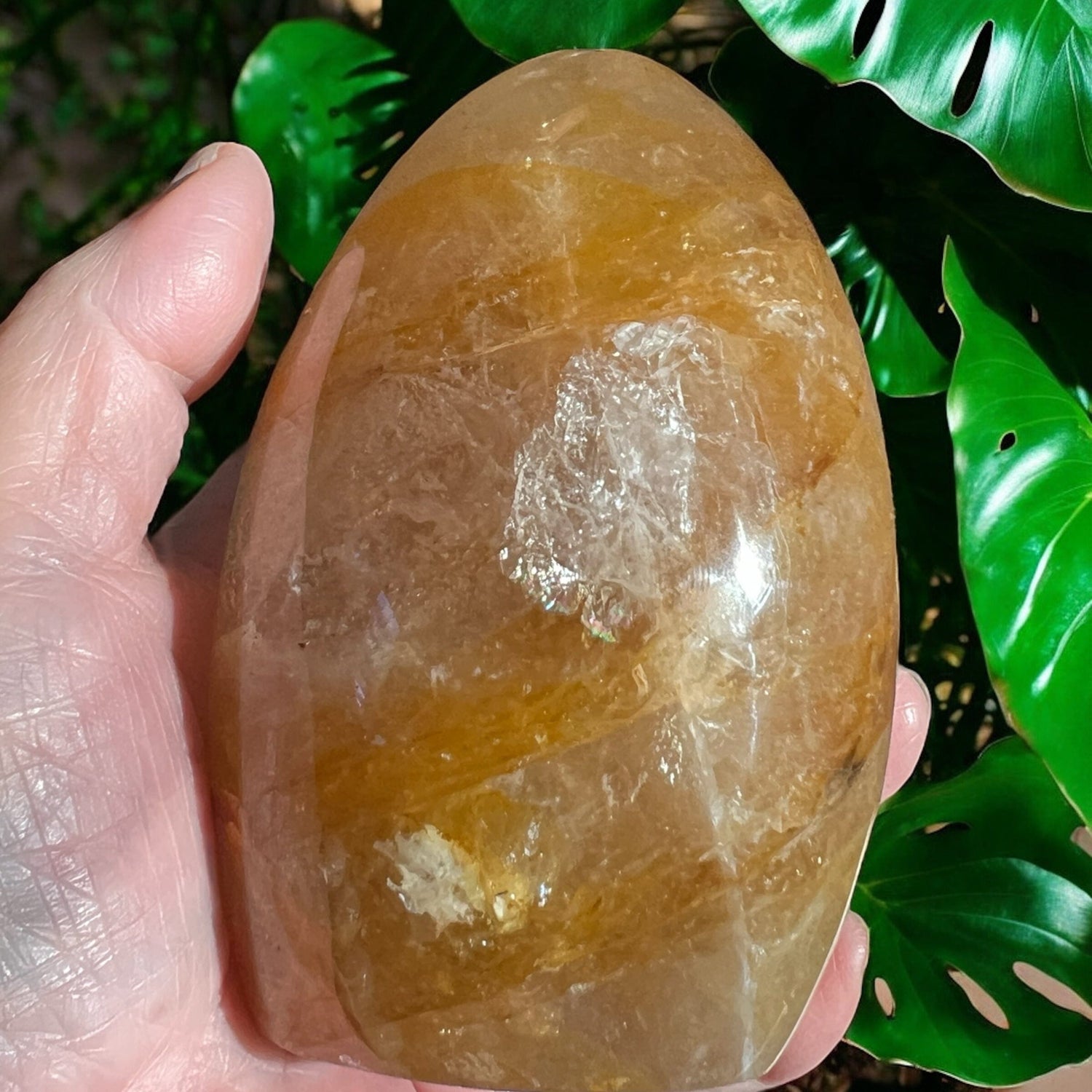 Golden Healer Free Form Crystals AJABA NATURALS®