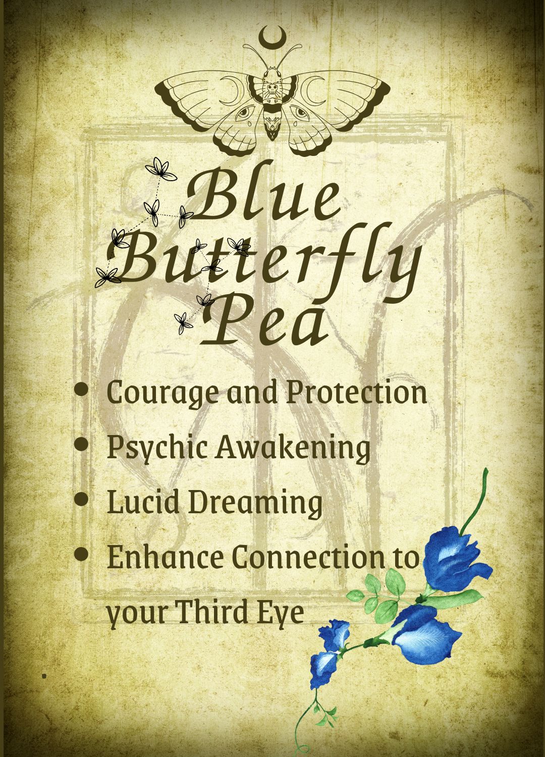 Botanical filled Bottle with Enchanted Garden Faerie Spoon Botanical Herb Bottles for Spells AJABA NATURALS® Blue Butterfly Pea