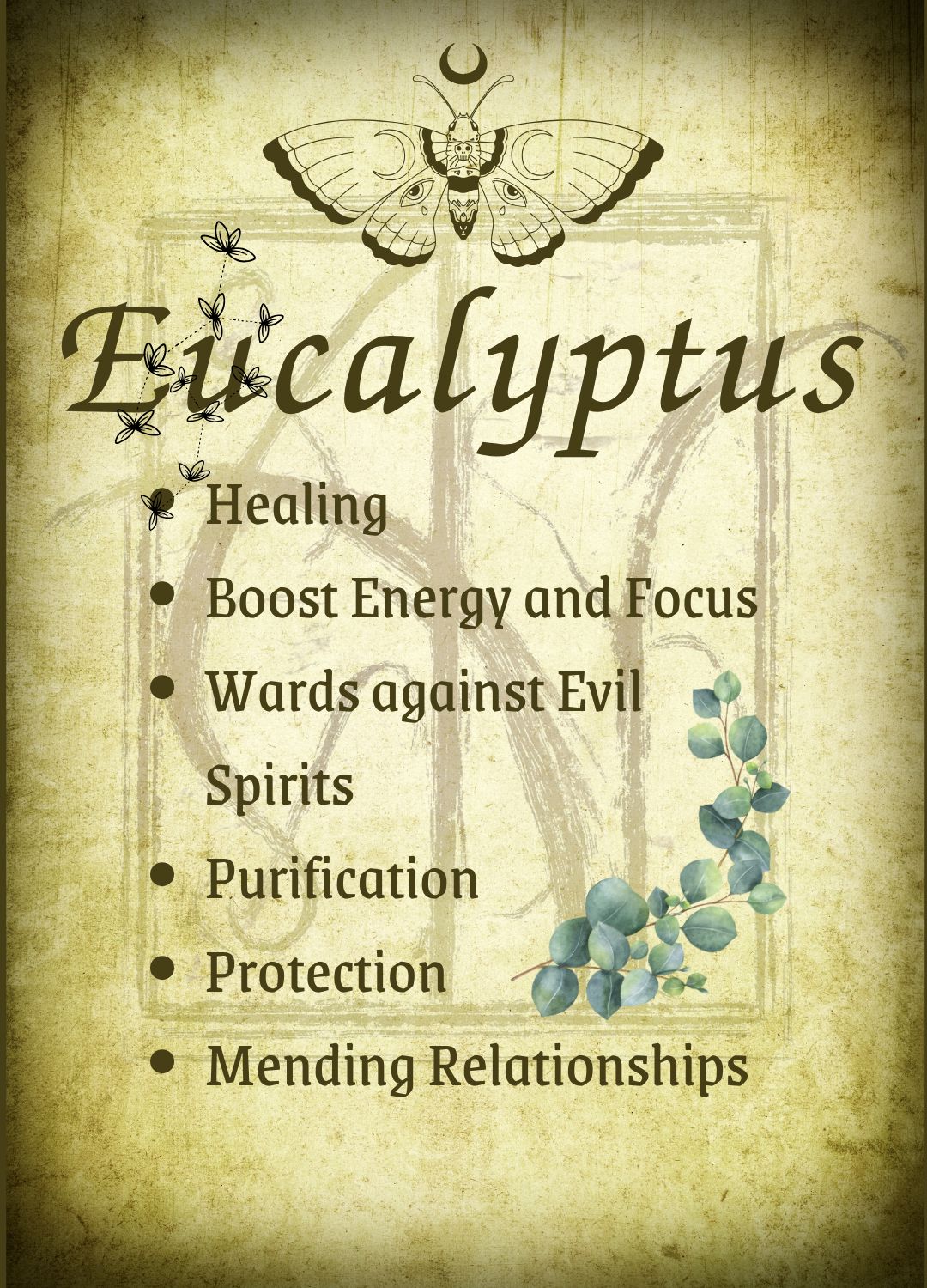 Botanical filled Bottle with Enchanted Garden Faerie Spoon Botanical Herb Bottles for Spells AJABA NATURALS® Eucalyptus