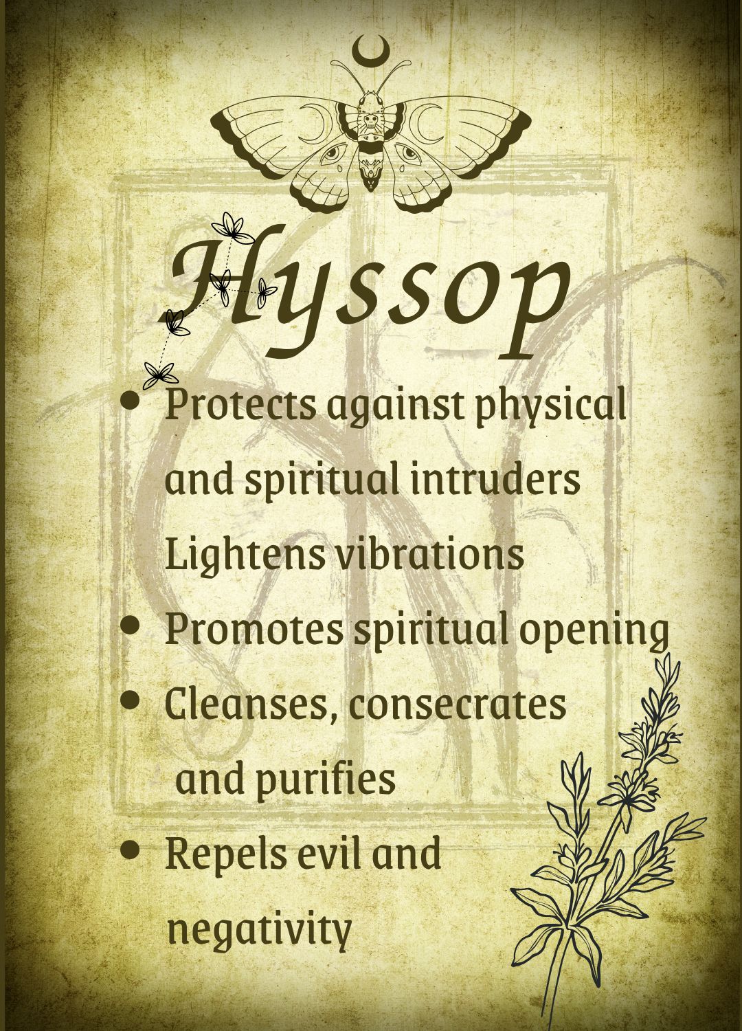 Botanical filled Bottle with Enchanted Garden Faerie Spoon Botanical Herb Bottles for Spells AJABA NATURALS® Hyssop