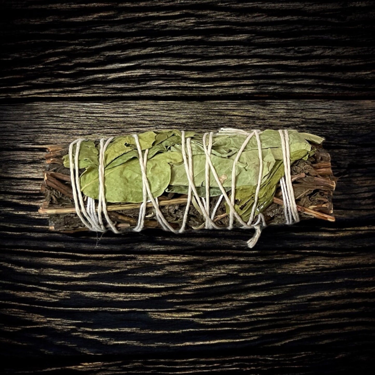 Lemon Balm and Peppermint Sage Bundle (4 in.) Sage Bundle Designs by Deekay Inc.