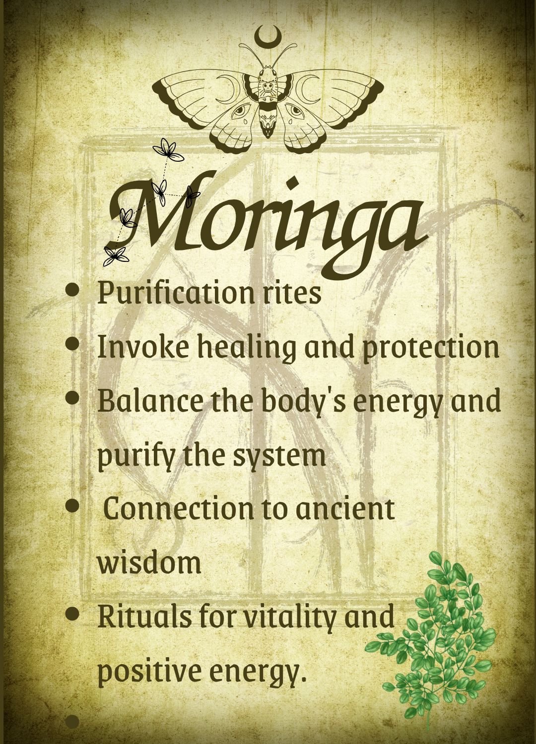 Botanical filled Bottle with Enchanted Garden Faerie Spoon Botanical Herb Bottles for Spells AJABA NATURALS® Moringa