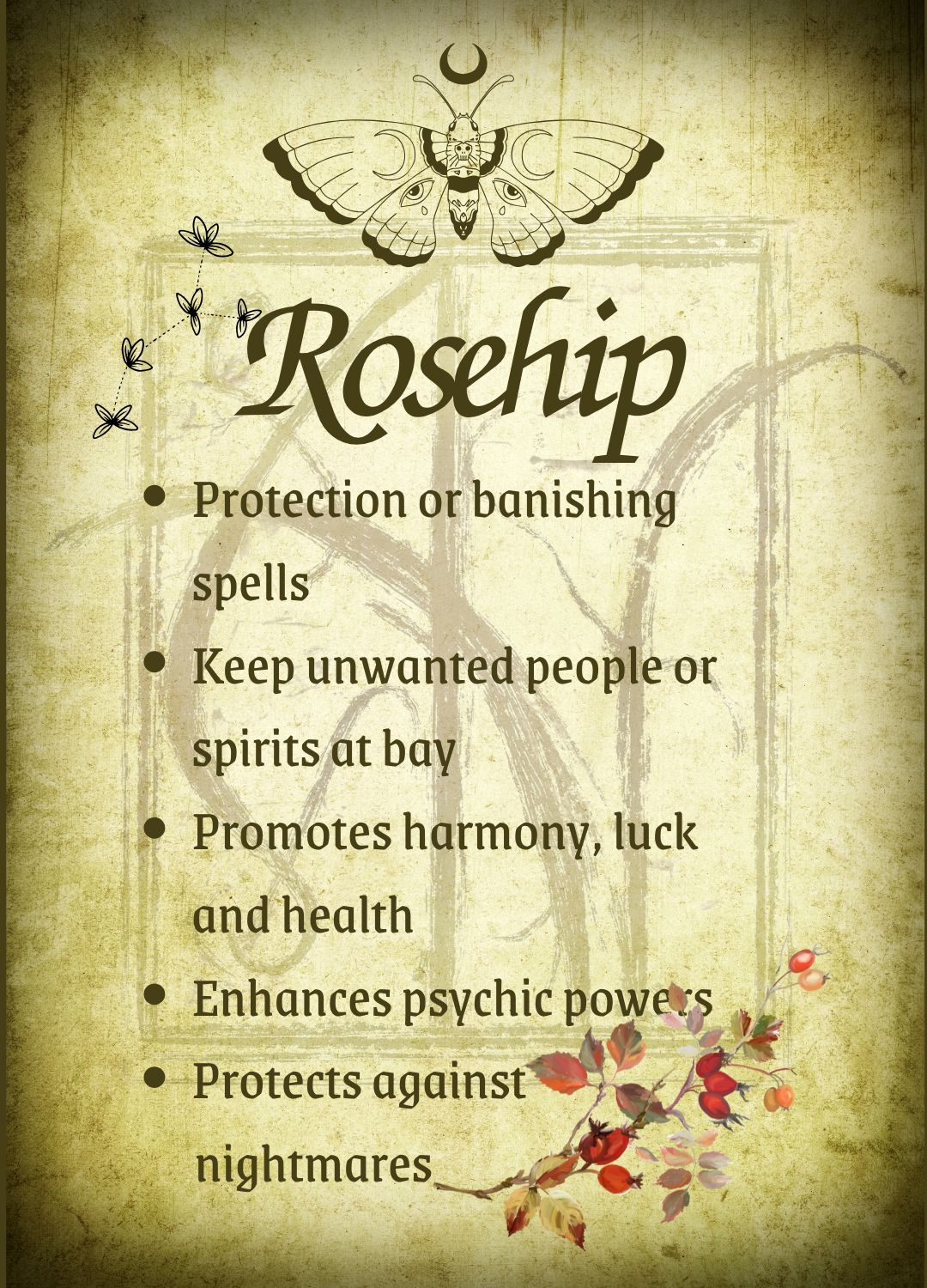Botanical filled Bottle with Enchanted Garden Faerie Spoon Botanical Herb Bottles for Spells AJABA NATURALS® Rosehip