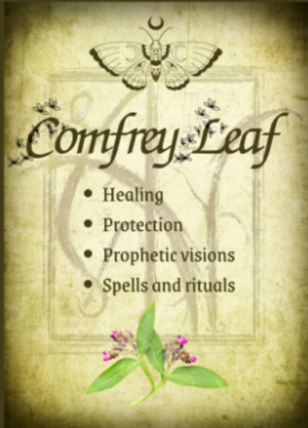 Botanical filled Bottle with Enchanted Garden Faerie Spoon Botanical Herb Bottles for Spells AJABA NATURALS® Comfrey Leaf