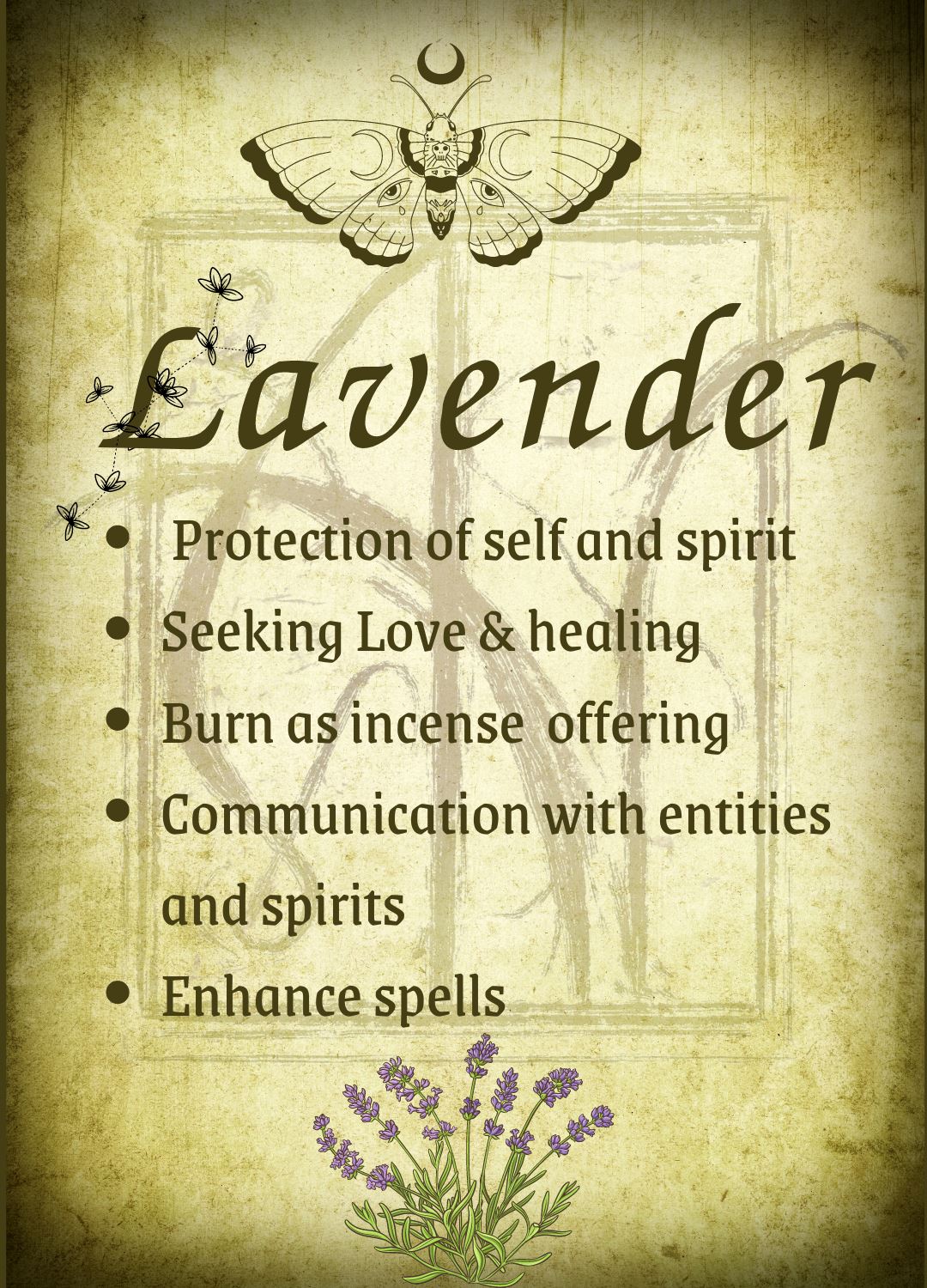 Botanical filled Bottle with Enchanted Garden Faerie Spoon Botanical Herb Bottles for Spells AJABA NATURALS® Lavender