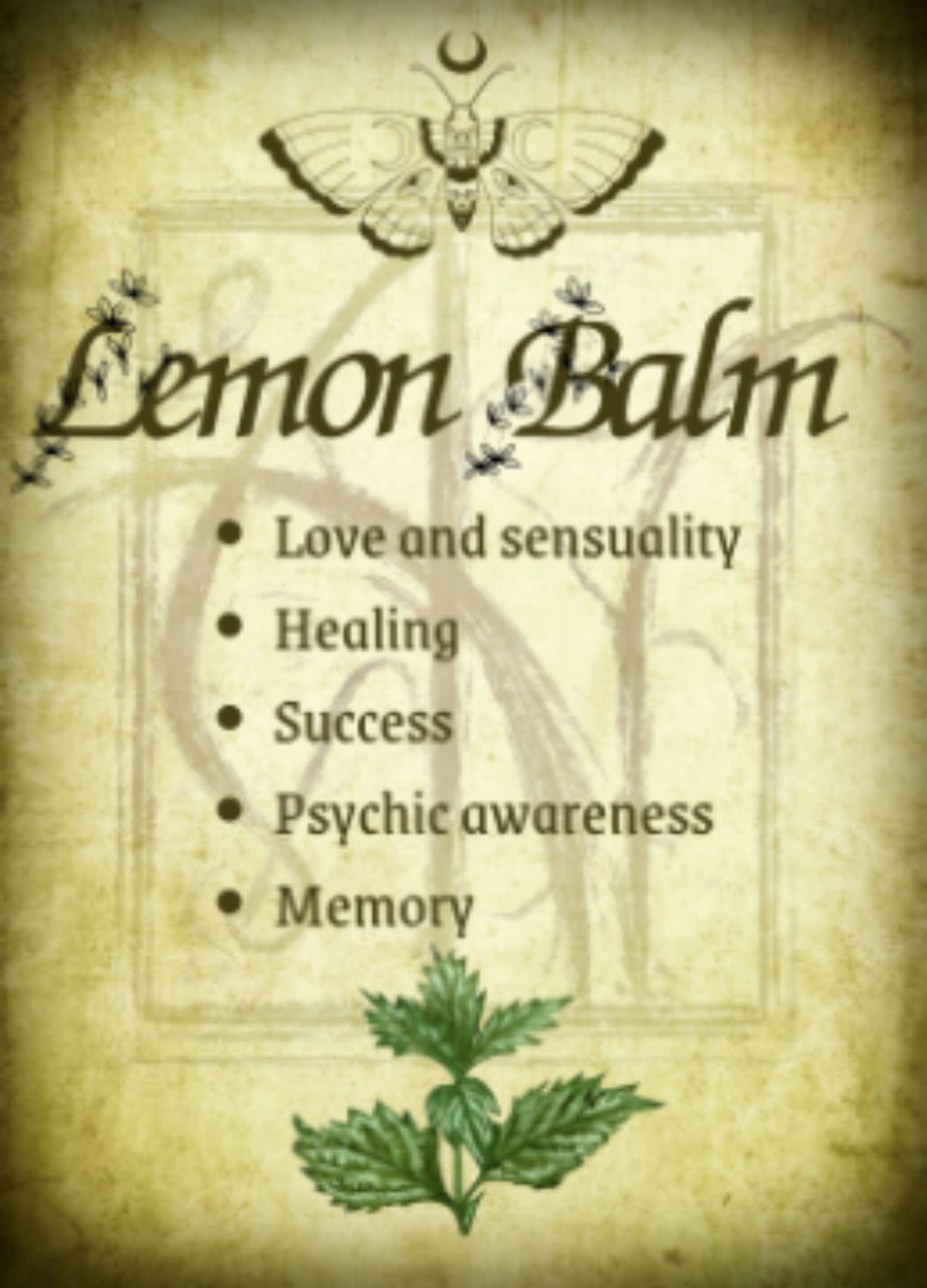 Botanical filled Bottle with Enchanted Garden Faerie Spoon Botanical Herb Bottles for Spells AJABA NATURALS® Lemon Balm ( Melissa)