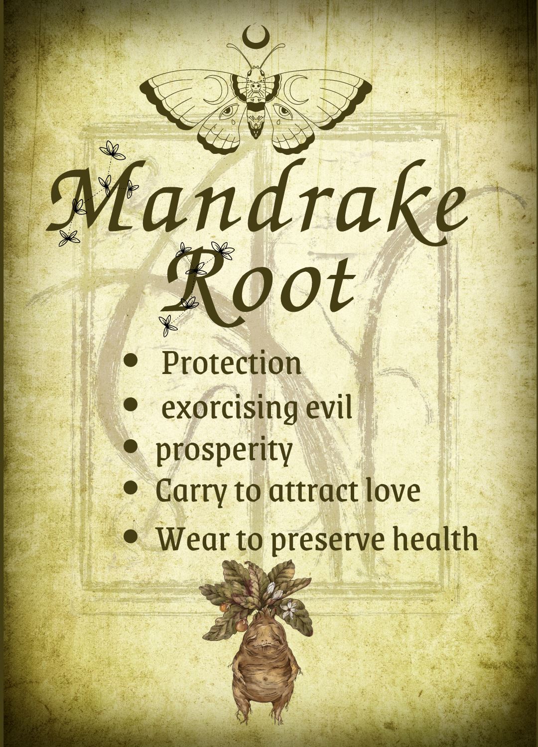 Botanical filled Bottle with Enchanted Garden Faerie Spoon Botanical Herb Bottles for Spells AJABA NATURALS® Mandrake Root