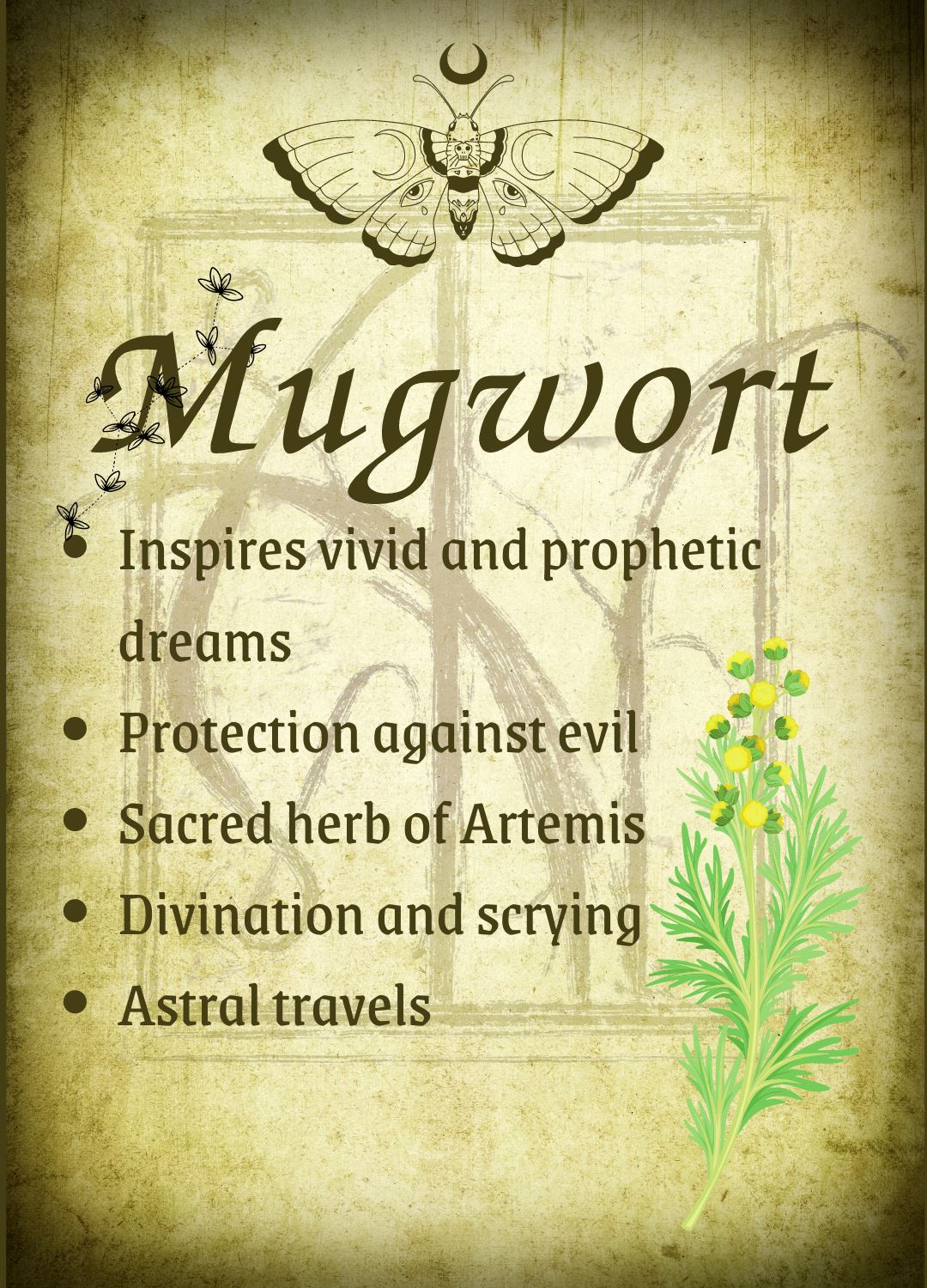 Botanical filled Bottle with Enchanted Garden Faerie Spoon Botanical Herb Bottles for Spells AJABA NATURALS® Mugwort