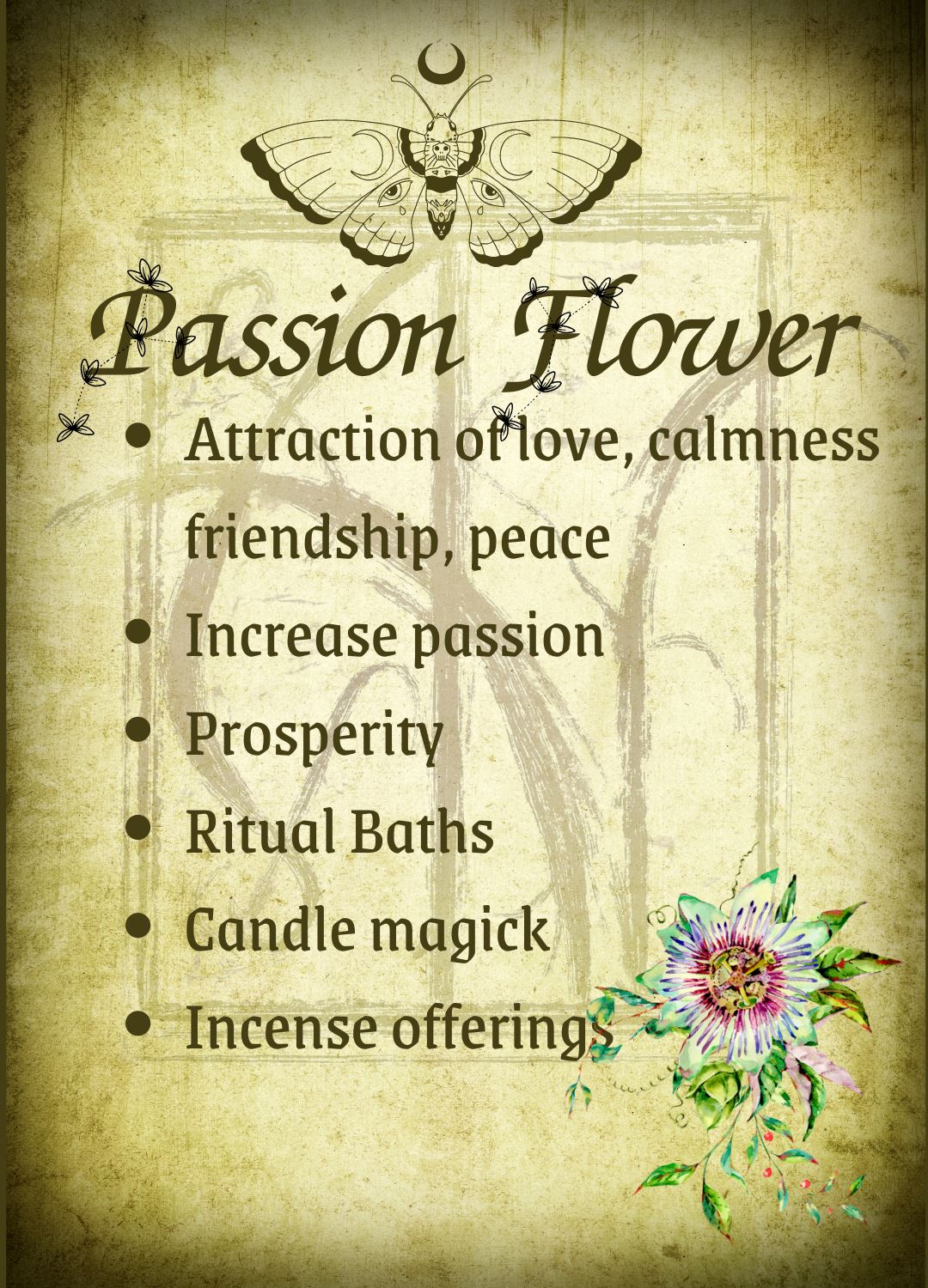 Botanical filled Bottle with Enchanted Garden Faerie Spoon Botanical Herb Bottles for Spells AJABA NATURALS® Passion Flower