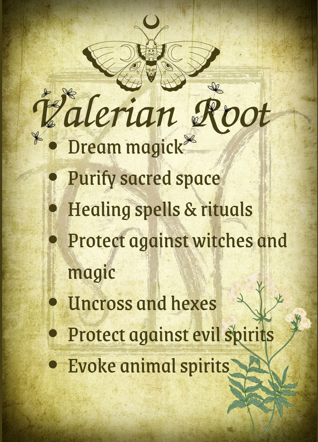 Botanical filled Bottle with Enchanted Garden Faerie Spoon Botanical Herb Bottles for Spells AJABA NATURALS® Valerian Root