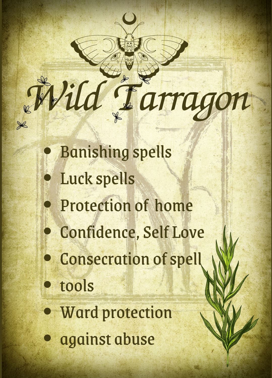 Botanical filled Bottle with Enchanted Garden Faerie Spoon Botanical Herb Bottles for Spells AJABA NATURALS® Wild Tarragon