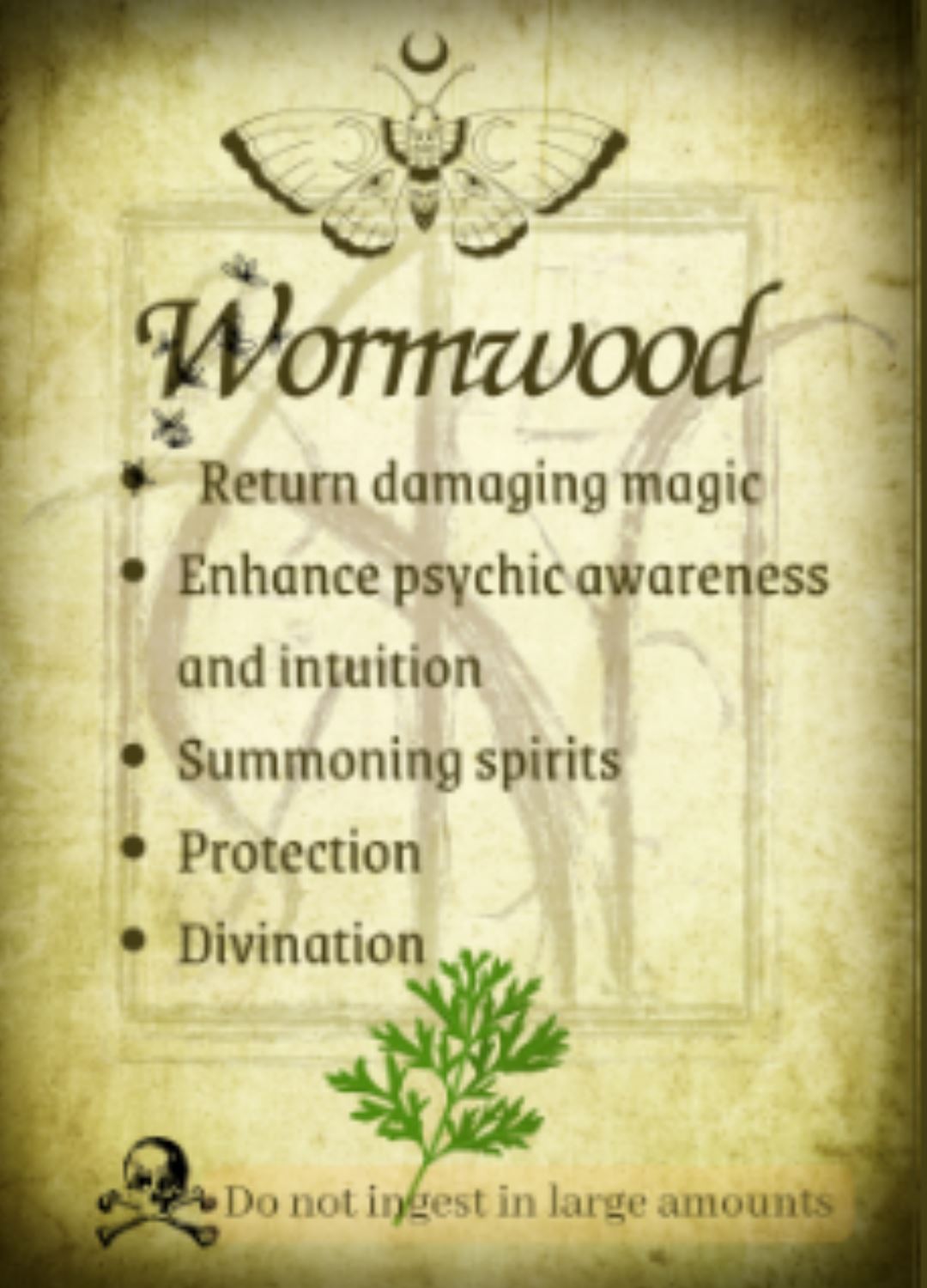 Botanical filled Bottle with Enchanted Garden Faerie Spoon Botanical Herb Bottles for Spells AJABA NATURALS® Wormwood