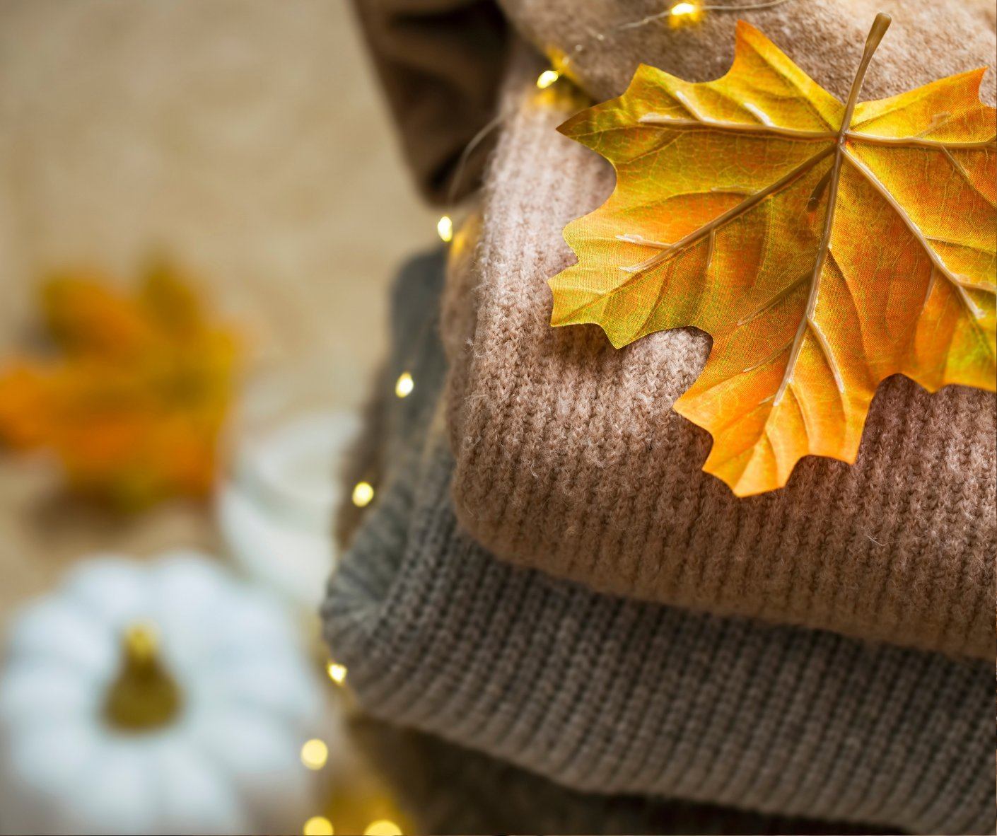 Fall & Winter Collection