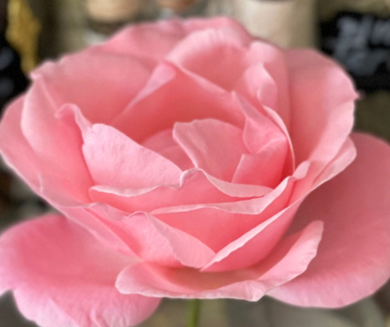 Uplifting Handcrafted Fragrance Sprays & Oils