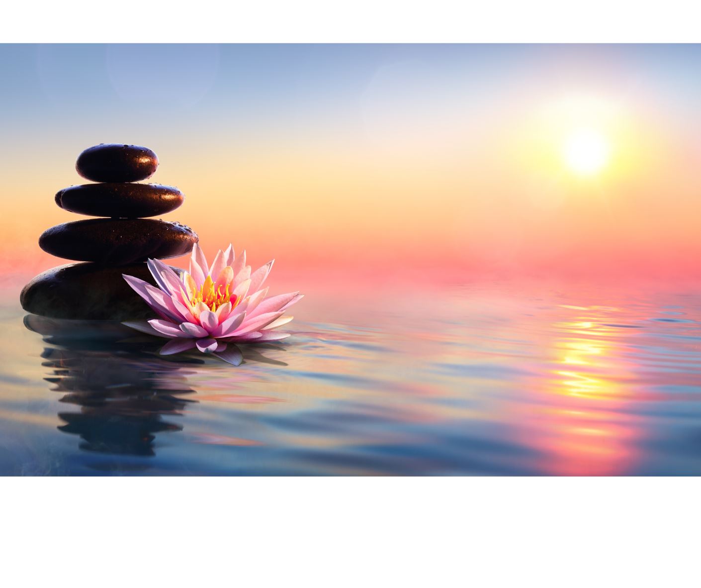 Self-Care & Wellness